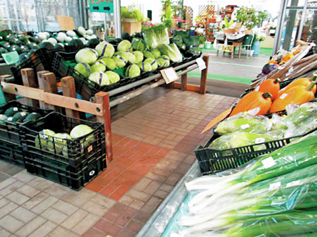 【産直市場×札幌周辺の道の駅】全国シェアの60%のゆり根がおすすめ「真狩フラワーセンター」