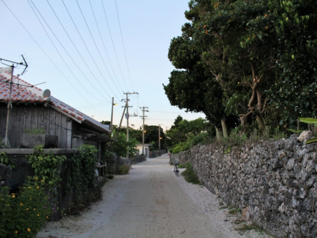 朝の時間帯は島の日常生活が垣間見える