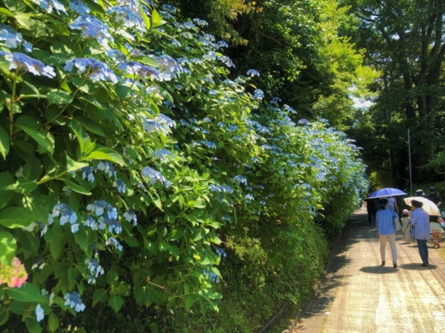 源氏山公園で登山。山の空気の中でひと休みも