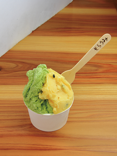 【屋久島のグルメスポット】ジェラートそらうみ