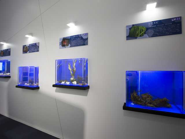 オホーツク流氷館