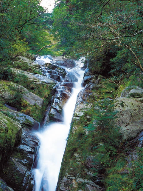 【屋久島の観光スポット】白谷雲水峡