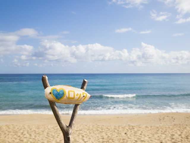 【奄美大島の観光スポット】ハートロック