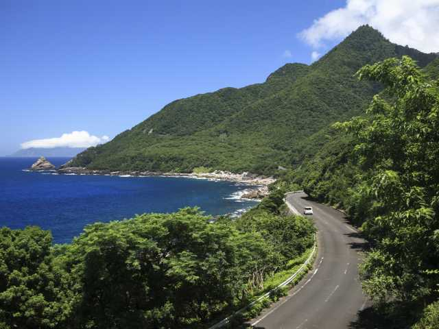 【屋久島の観光スポット】西部林道