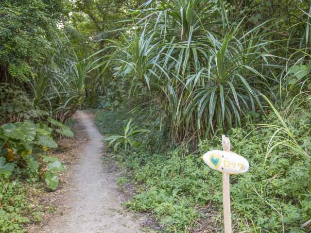 【屋久島の観光スポット】ハートロック