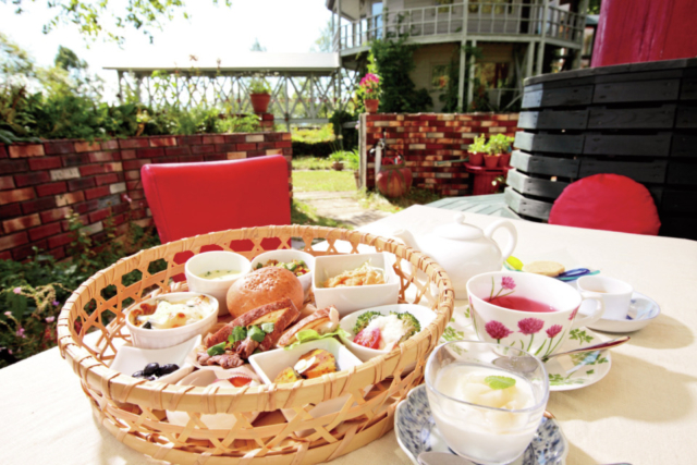 森のランチ ピクニック