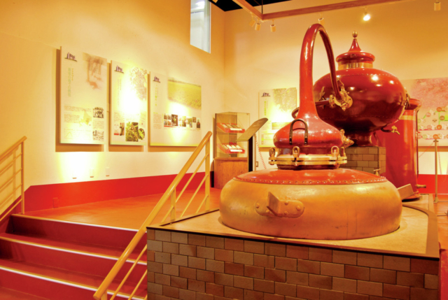 池田ワイン城 <ワイン工場>