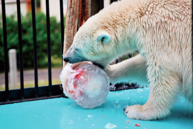 おびひろ動物園