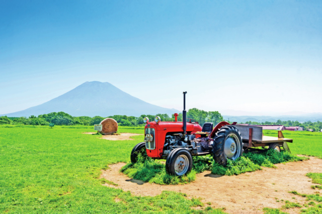 【ニセコ×ドライブ】ニセコらしい風景の中で牧場スイーツを味わう「ニセコ高橋牧場 ミルク工房」