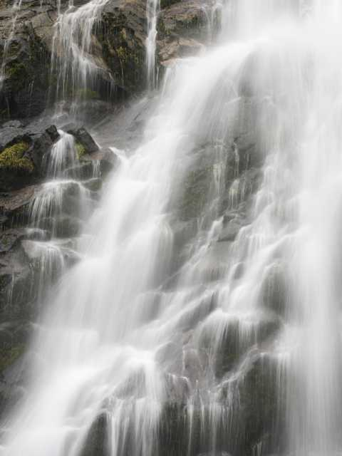 【屋久島の観光スポット】大川の滝