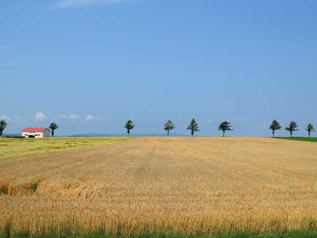 知床の観光はこれで完璧【地図付き】人気スポットを徹底紹介37選