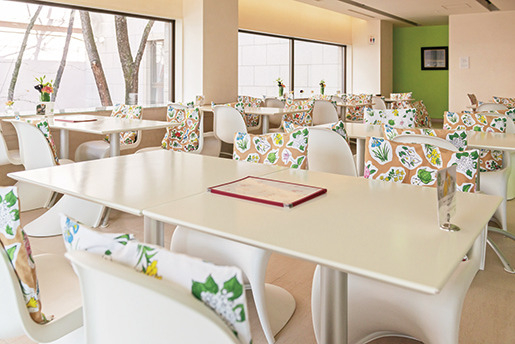 【十勝×スイーツ】2段重ねのふわふわホットケーキ「六花亭 帯広本店」