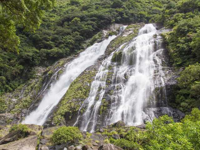 【屋久島の観光スポット】大川の滝