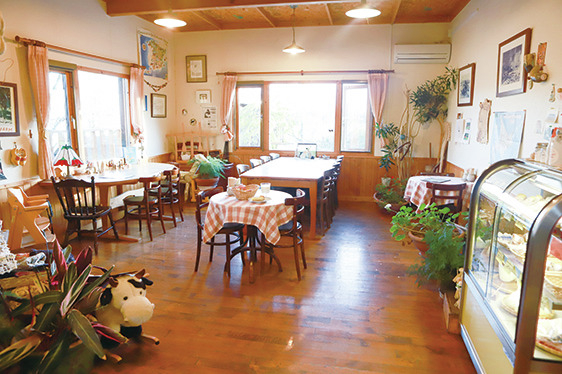 【十勝×チーズ料理】約150頭の牛を飼うファームで新鮮牛乳使用の手作りチーズを堪能「半田ファーム」