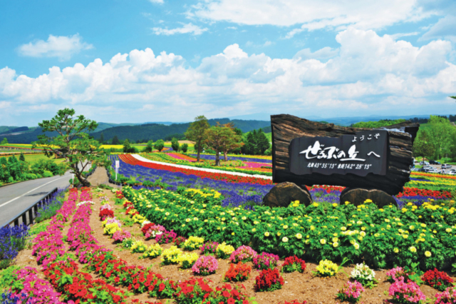 美瑛おすすめコース①ぜるぶの丘