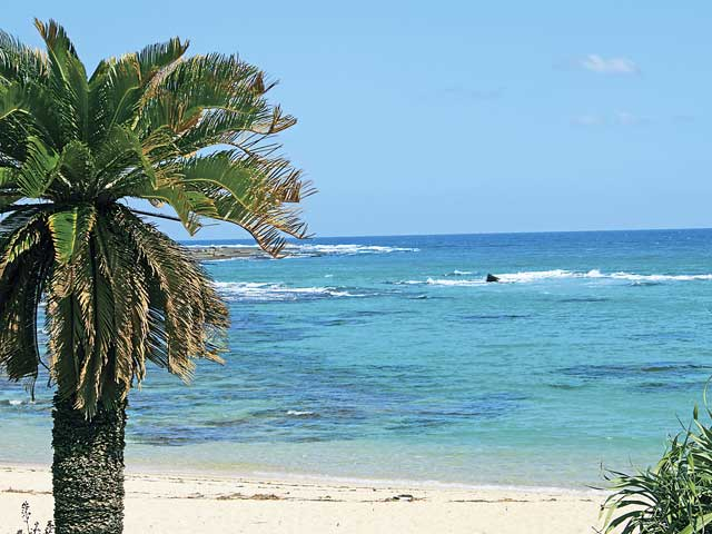 【奄美大島の観光スポット】土盛海岸