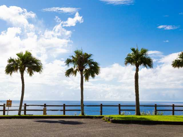 【奄美大島の観光スポット】大浜海浜公園
