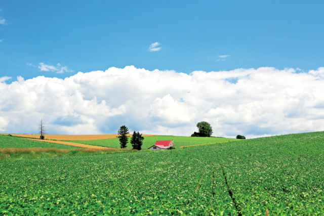 ⑤赤い屋根の家