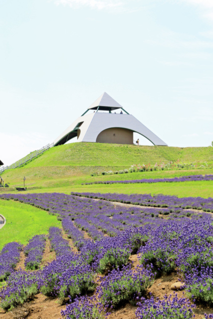 美瑛おすすめコース⑤北西の丘展望公園