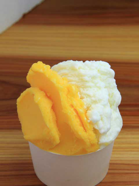 【屋久島のグルメスポット】ジェラートそらうみ