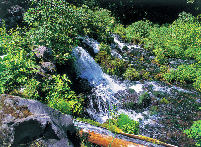 【必見スポット×札幌周辺の道の駅】名水百選に選ばれた清らかな水「名水の郷きょうごく 名水プラザ」