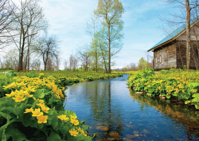 【北海道×六花亭のアートな直営施設】六花の森