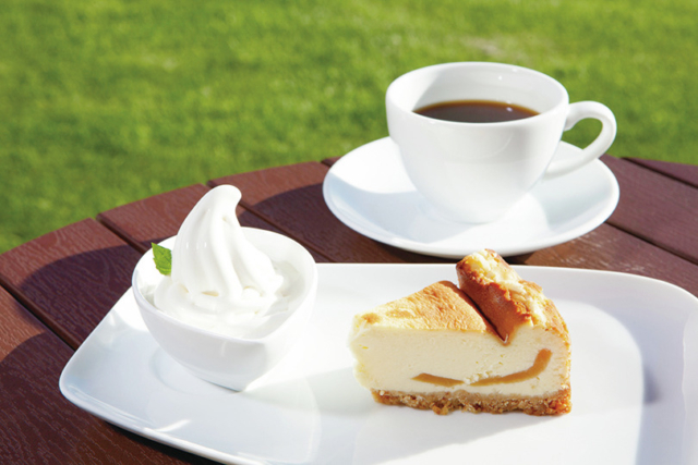 【十勝×ファームレストラン】牛舎が建つ広大な畑を目前にファーム直営レストランでランチ「COW COW café」