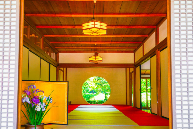 紫陽花が見ごろ!鎌倉観光のスタートは明月院から