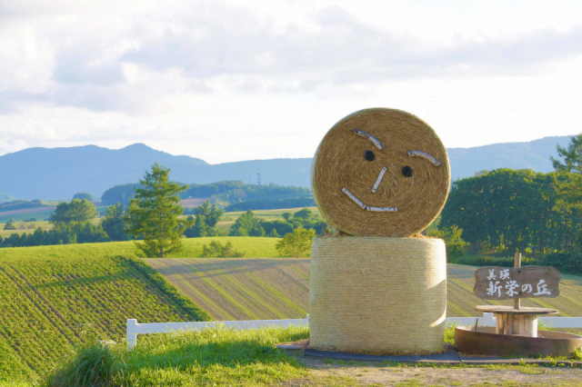 ④新栄の丘展望公園