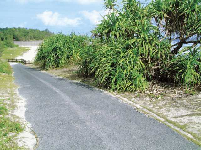 【奄美大島の観光スポット】土盛海岸
