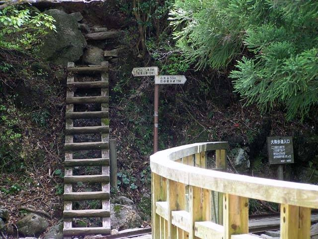 【屋久島の観光スポット】縄文杉