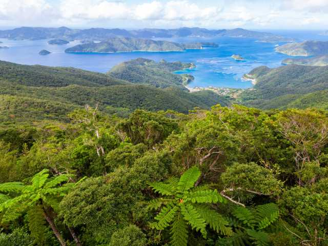 【奄美大島の観光スポット】高知山展望台