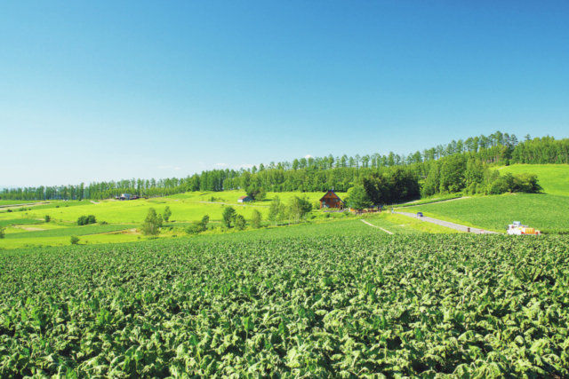①三愛の丘展望公園