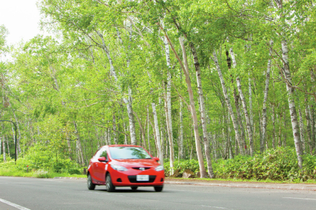 美瑛ドライブモデルコース②白樺街道