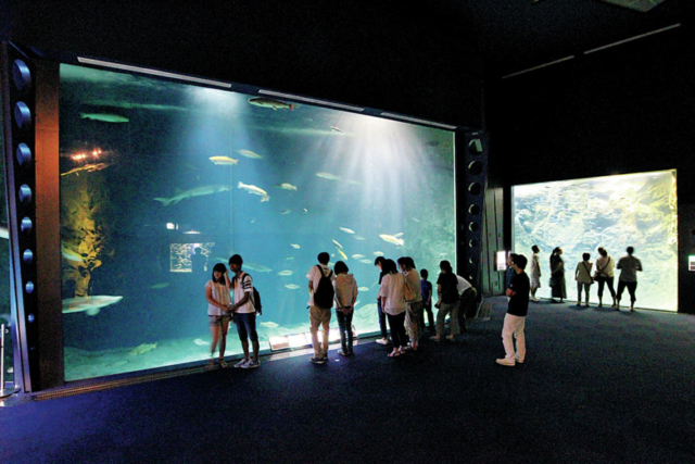 【必見スポット×札幌周辺の道の駅】秋にはサケの遡上風景も見られる「サーモンパーク千歳」