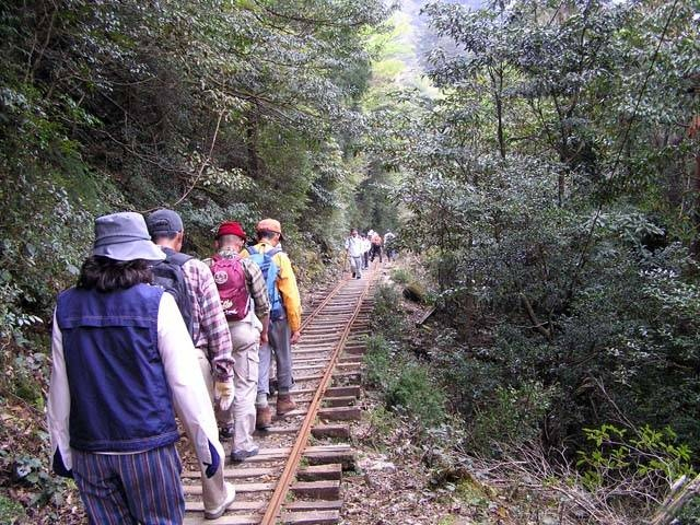 【屋久島の観光スポット】縄文杉