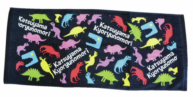 かつやま恐竜の森のお土産:レインボー無料休憩所内売店