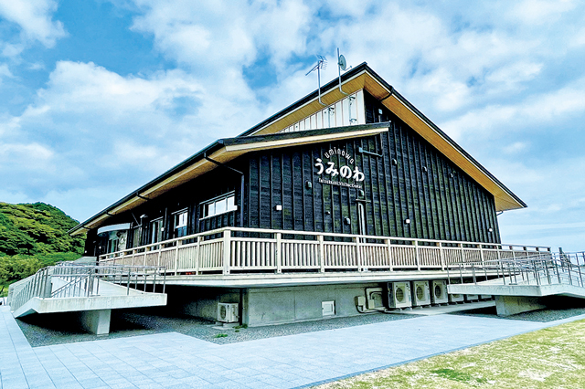 【足摺岬ドライブ×立ち寄りスポット】竜串の観光情報はここへ「竜串ビジターセンター うみのわ」