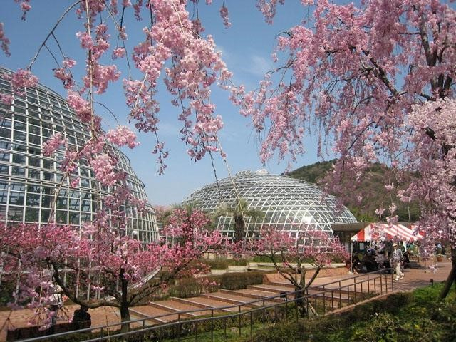 東谷山 【名古屋市守山区】