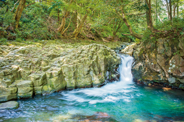 伊豆の天城越えドライブモデルプラン⑤河津七滝