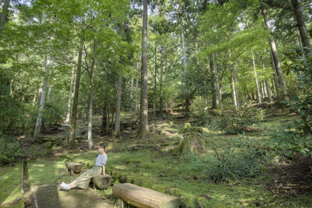 伊豆の天城越えドライブモデルプラン④天城グリーンガーデン