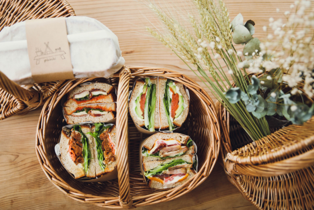 伊豆の天城越えドライブモデルプラン②pikiniki