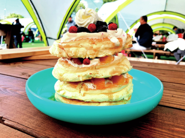 【東京都・江東】豊洲ぐるり公園手ぶらBBQ広場