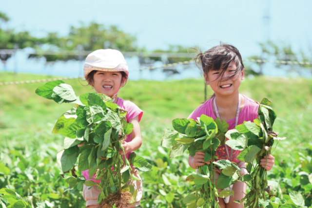 【神奈川県・横須賀】長井海の手公園ソレイユの丘オートキャンプ場