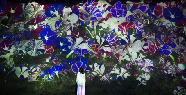 季節展示 【増殖する無量の生命】