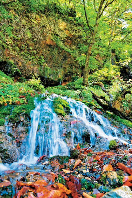 細い糸が絡み合うような無数の滝「竜神の滝」