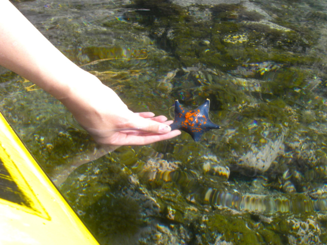 Q.2初心者でも楽しめるアドバイスはありますか?