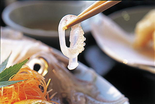 【佐賀グルメ×呼子のいか】活きいかのゲソのおどり食い!「いか本家 いそ浜別館」