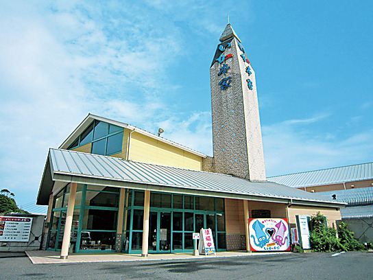 【佐賀グルメ×呼子のいか】活きいかのゲソのおどり食い!「いか本家 いそ浜別館」