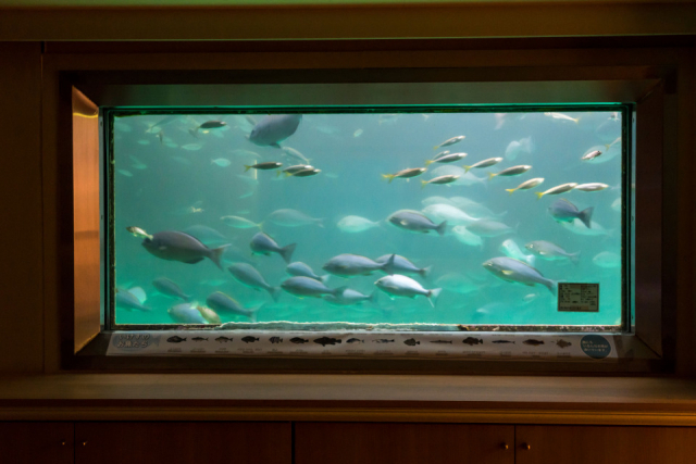 海に浮かぶ、イカしゅうまい発祥の店「海中魚処 萬坊」